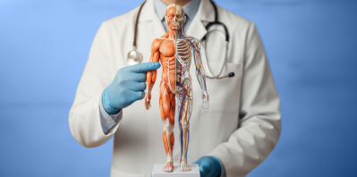 Чекап-программы в Ростове на Дону: полный обзор 