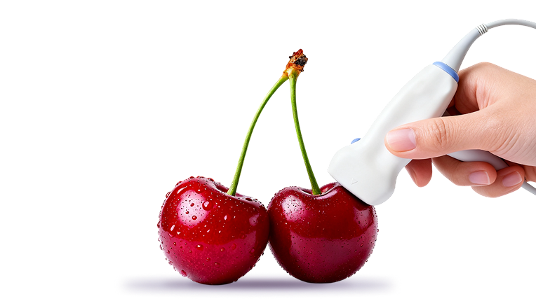 УЗИ молочных желез