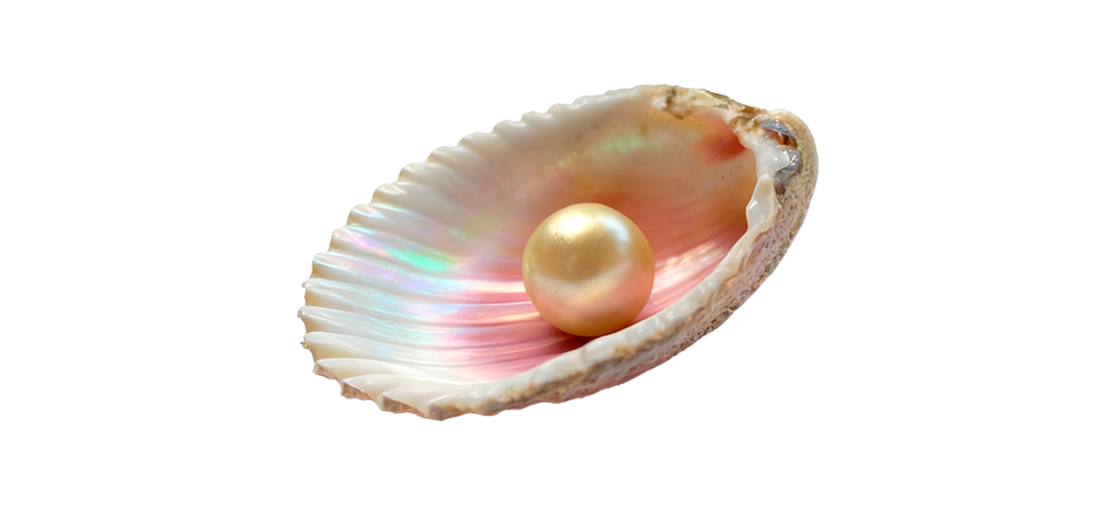 Гинекологическая хирургия