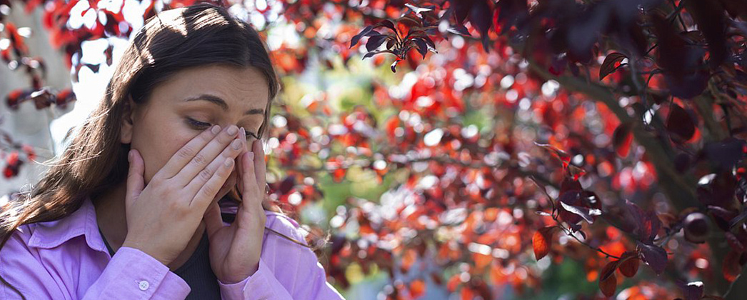 Весенняя аллергия: как пережить сезон цветения и стоит ли пробовать АСИТ-терапию?