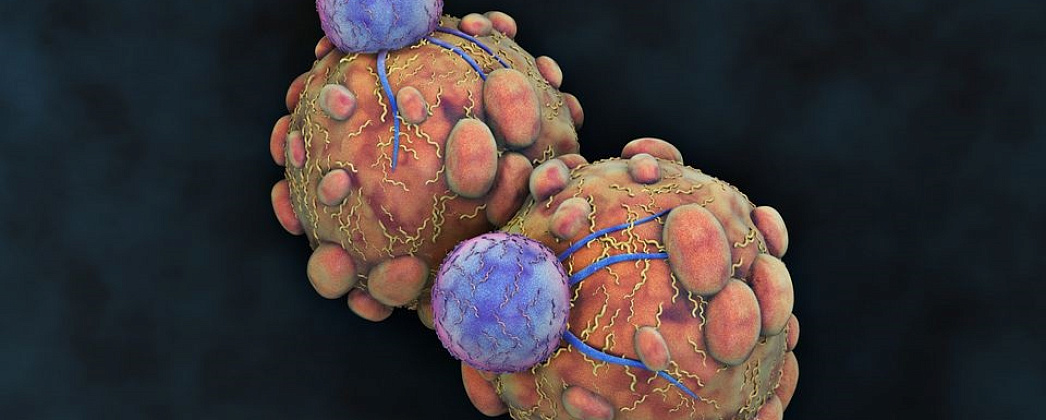 Аутоиммунные заболевания