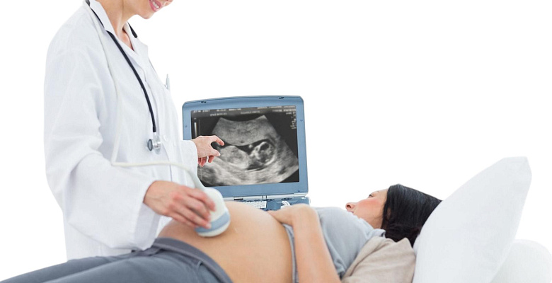 УЗИ акушерство