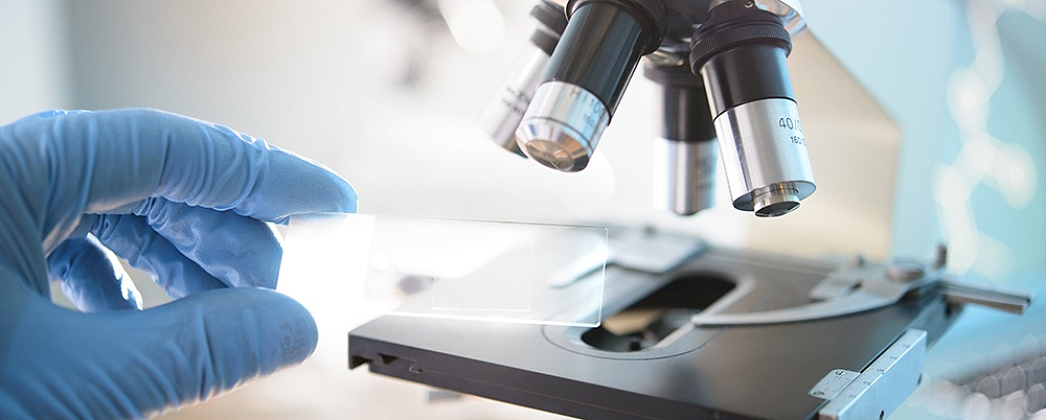 Гистологические и гистохимические исследования: основы и применение