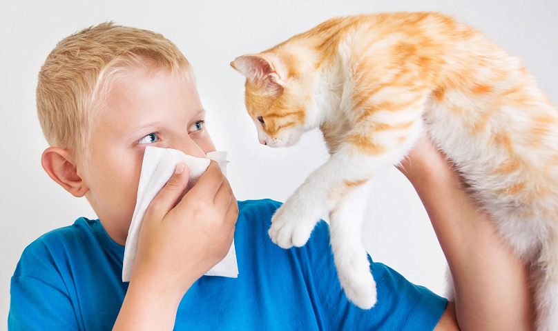 Allergiya u detei v klinike Evrodon